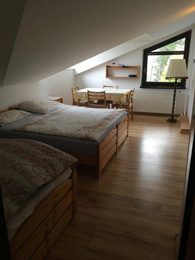 Apartman - Rokytnice Nad Jizerou Apartman Kültér fotó